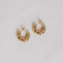 Load image into Gallery viewer, Hoops &amp; Dangles (Petite Gold)
