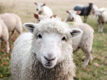 Load image into Gallery viewer, Wool Dryer Balls
