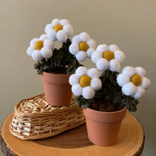 Load image into Gallery viewer, Macrame &amp; Felt Botanical Creations (Store)

