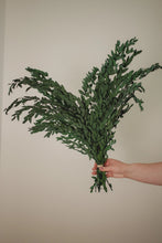 Load image into Gallery viewer, Preserved Eucalyptus &amp; Greens
