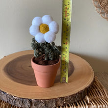 Load image into Gallery viewer, Macrame &amp; Felt Botanical Creations (Store)
