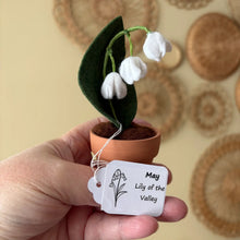 Load image into Gallery viewer, Macrame &amp; Felt Botanical Creations (Store)
