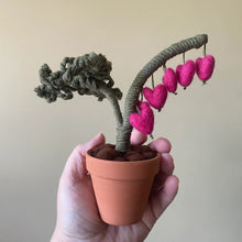 Load image into Gallery viewer, Macrame &amp; Felt Botanical Creations (Store)
