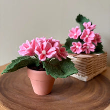 Load image into Gallery viewer, Macrame &amp; Felt Botanical Creations (Store)
