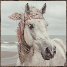 Load image into Gallery viewer, Animal Inspired Sign Decor
