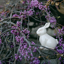 Load image into Gallery viewer, Ceramic Rabbit
