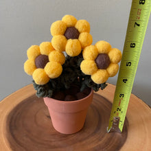 Load image into Gallery viewer, Macrame &amp; Felt Botanical Creations (Store)
