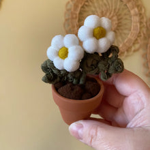 Load image into Gallery viewer, Macrame &amp; Felt Botanical Creations (Store)

