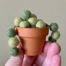 Load image into Gallery viewer, Macrame &amp; Felt Botanical Creations (Store)
