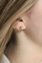 Load image into Gallery viewer, Free Rein Studs
