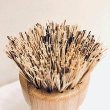 Load image into Gallery viewer, Bamboo Knob Scrubber
