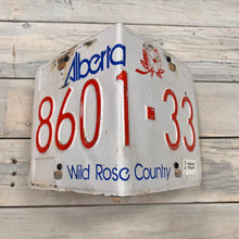 Load image into Gallery viewer, License Plate Birdhouses
