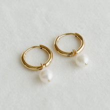 Load image into Gallery viewer, Hoops &amp; Dangles (Petite Gold)
