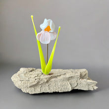Load image into Gallery viewer, Glassware Art
