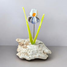 Load image into Gallery viewer, Glassware Art
