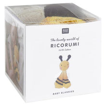 Load image into Gallery viewer, Ricorumi DK Blankies Kits
