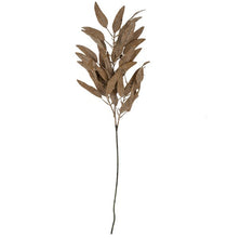 Load image into Gallery viewer, Dried Eucalyptus Stems
