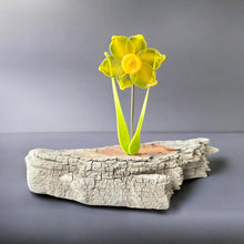 Load image into Gallery viewer, Glassware Art
