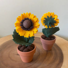 Load image into Gallery viewer, Macrame &amp; Felt Botanical Creations (Store)
