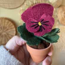 Load image into Gallery viewer, Macrame &amp; Felt Botanical Creations (Store)
