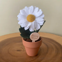 Load image into Gallery viewer, Macrame &amp; Felt Botanical Creations (Store)
