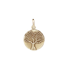 Load image into Gallery viewer, Medallion Charms
