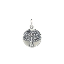 Load image into Gallery viewer, Medallion Charms
