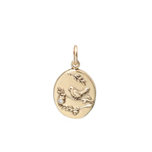Load image into Gallery viewer, Medallion Charms
