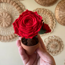Load image into Gallery viewer, Macrame &amp; Felt Botanical Creations (Store)
