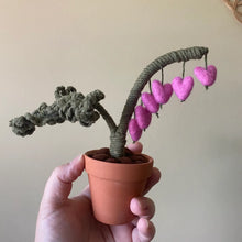 Load image into Gallery viewer, Macrame &amp; Felt Botanical Creations (Store)
