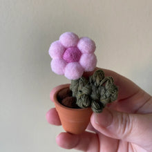 Load image into Gallery viewer, Macrame &amp; Felt Botanical Creations (Store)
