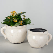 Load image into Gallery viewer, Cream Glazed Flower Pot
