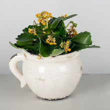 Load image into Gallery viewer, Cream Glazed Flower Pot
