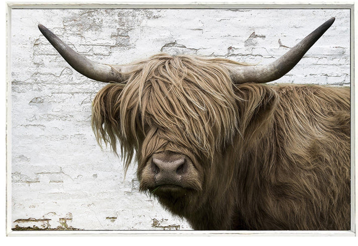 Highland Cow Wall Decor