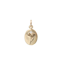 Load image into Gallery viewer, Medallion Charms
