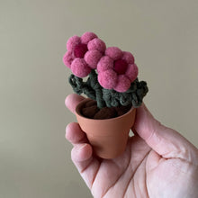Load image into Gallery viewer, Macrame &amp; Felt Botanical Creations (Store)
