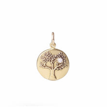 Load image into Gallery viewer, Medallion Charms

