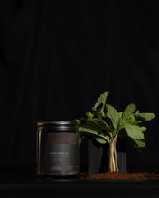 Load image into Gallery viewer, James Street Co. Candles (Spring/Summer)
