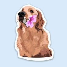 Load image into Gallery viewer, Vinyl Stickers
