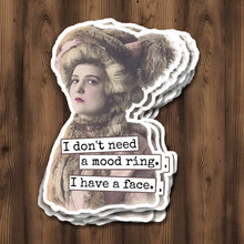 Load image into Gallery viewer, Vinyl Stickers
