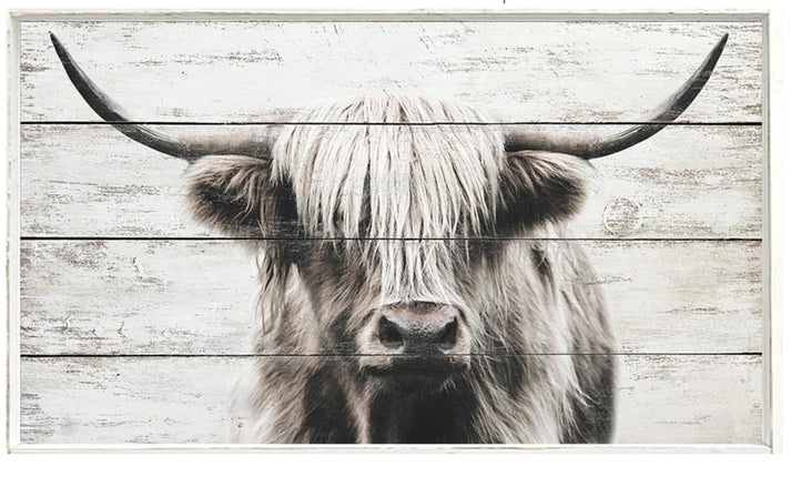 Highland Cow Wall Decor