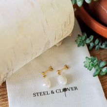 Load image into Gallery viewer, Steel &amp; Clover Earrings
