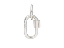 Load image into Gallery viewer, Carabiner Charm
