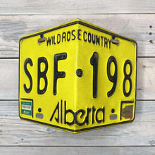 Load image into Gallery viewer, License Plate Birdhouses
