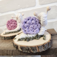 Load image into Gallery viewer, Macrame &amp; Felt Botanical Creations
