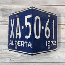 Load image into Gallery viewer, License Plate Birdhouses
