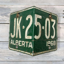 Load image into Gallery viewer, License Plate Birdhouses
