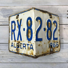 Load image into Gallery viewer, License Plate Birdhouses
