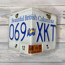 Load image into Gallery viewer, License Plate Birdhouses
