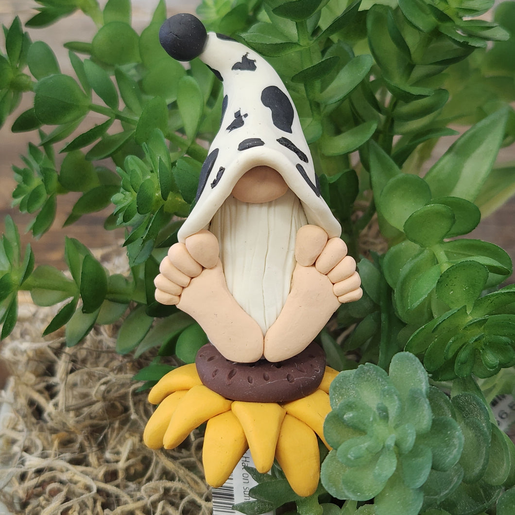 Plant Stakes